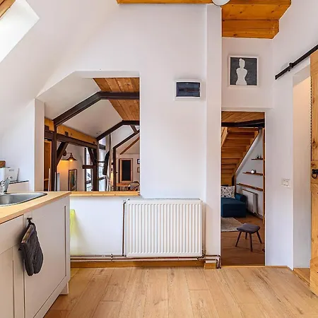 Castelului - Casa Aeon 公寓 布拉索夫