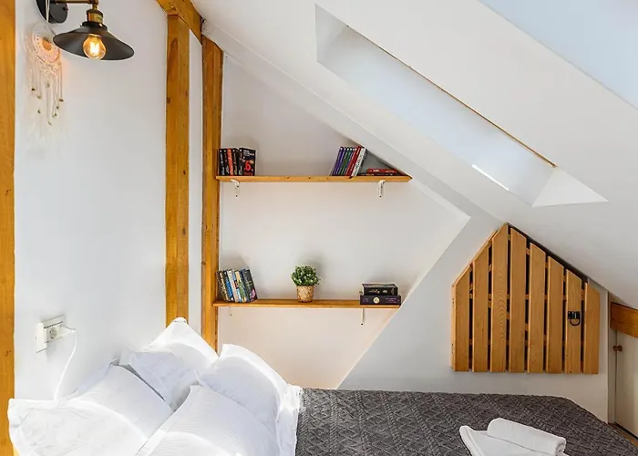 Castelului - Casa Aeon 布拉索夫